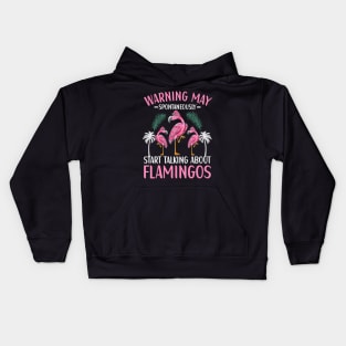 May Spontaneously Start Talking About Flamingos Flamingo Kids Hoodie